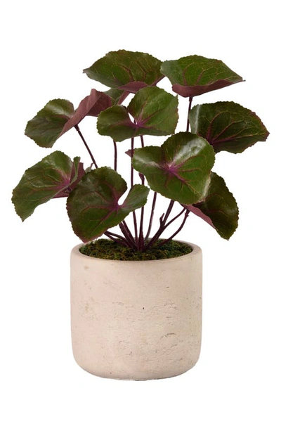 Shop Bloomr Ligularia Planter Decoration In Ivory