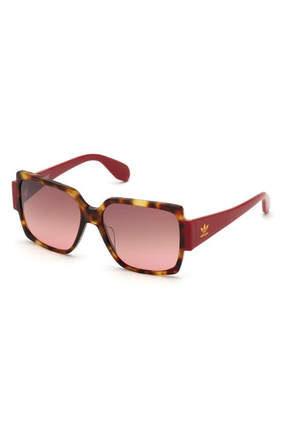 Shop Adidas Originals Originals 55mm Gradient Rectangular Sunglasses In Red Havana/ Brown Gradient