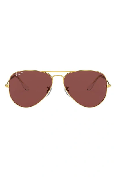 Shop Ray Ban 55mm Polarized Aviator Sunglasses In Legend Gold/ Purple