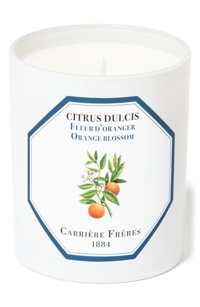 Shop Carriere Freres Candle In Orange Blossom