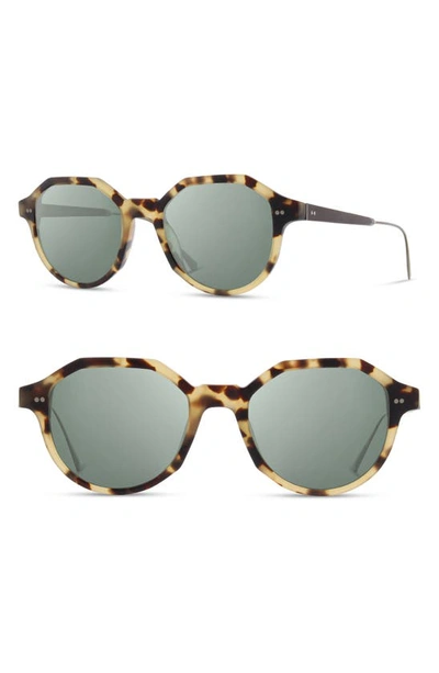 Shop Shwood Powell 50mm Polarized Geometric Sunglasses In Matte Havana/blk Chrome/g15