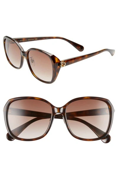 Shop Gucci 57mm Square Sunglasses In Havana