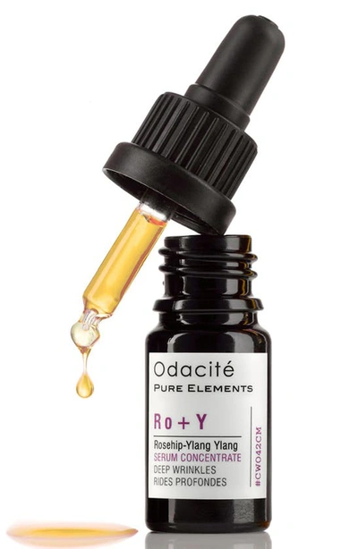 Shop Odacite Ro + Y Rosehip-ylang Ylang Deep Wrinkles Serum Concentrate