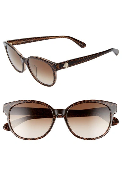 Shop Kate Spade Emaleigh 55mm Cat Eye Sunglasses In Brown