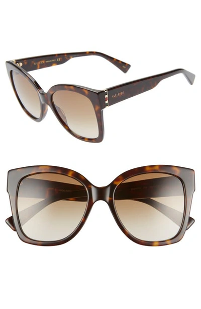 Shop Gucci 54mm Square Sunglasses In Shiny Dk Hav/ Brn Grad