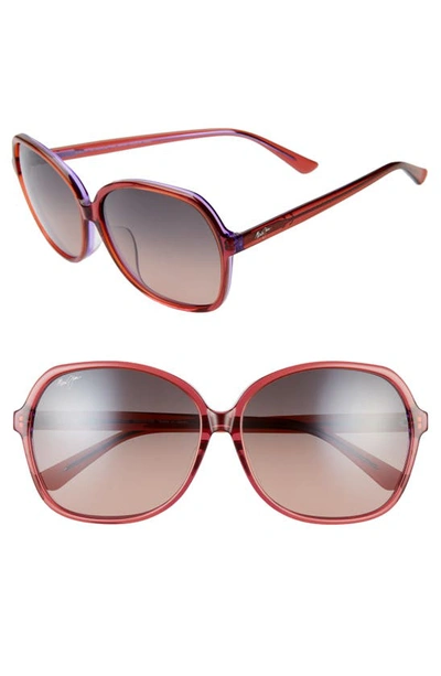 Shop Maui Jim Taro 59mm Polarizedplus2(r) Round Sunglasses In Pink W/ Lilac/ Maui Rose