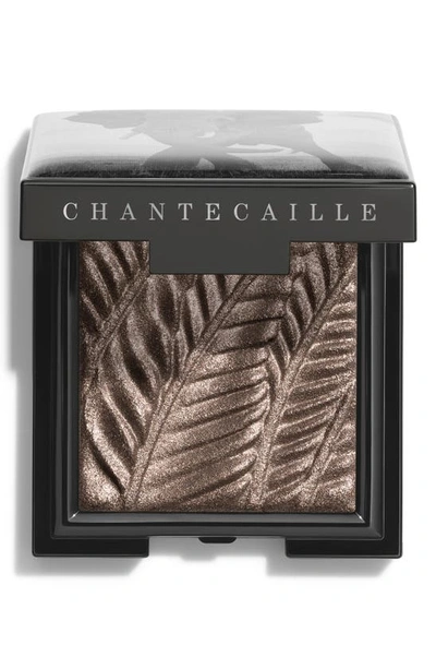 Shop Chantecaille Luminescent Eye Shade Eyeshadow In Elephant