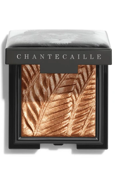 Shop Chantecaille Luminescent Eye Shade Eyeshadow In Lion