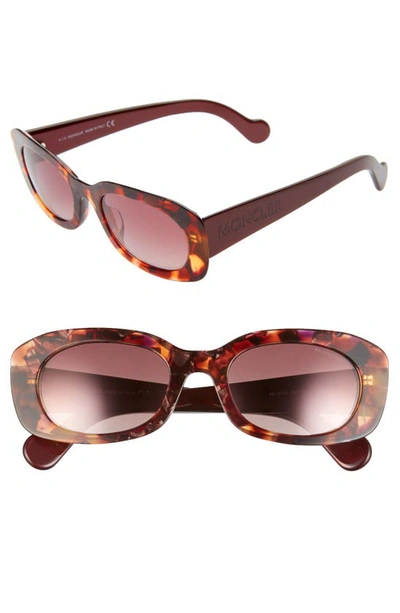 Shop Moncler 52mm Oval Sunglasses In Coloured Havana/ Bordeaux