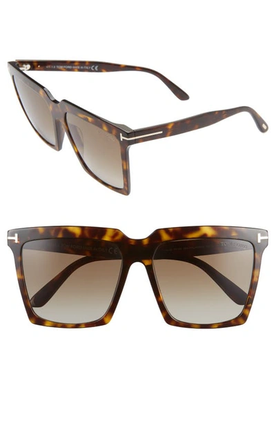 Shop Tom Ford Sabrina 58mm Polarized Gradient Square Sunglasses In Dark Havana/ Roviex