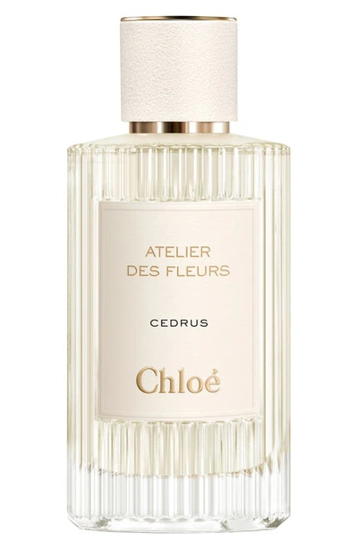 Shop Chloé Atelier Des Fleurs Cedrus Eau De Parfum, 5 oz