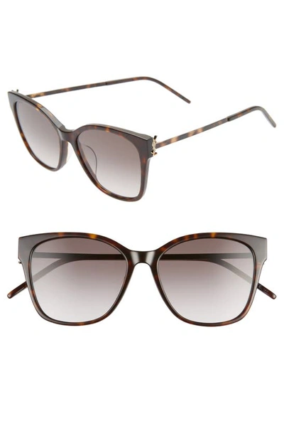 Shop Saint Laurent 56mm Rectangular Sunglasses In Shiny Dark Havana/ Grey Grad