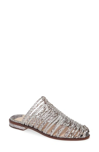 Shop Cecelia New York Gloria Sandal In Silver Snake