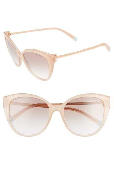 Shop Tiffany & Co 55mm Gradient Cat Eye Sunglasses In Nude