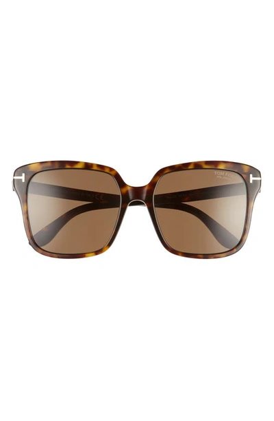 Shop Tom Ford Faye 56mm Polarized Square Sunglasses In Dark Havana/ Brown
