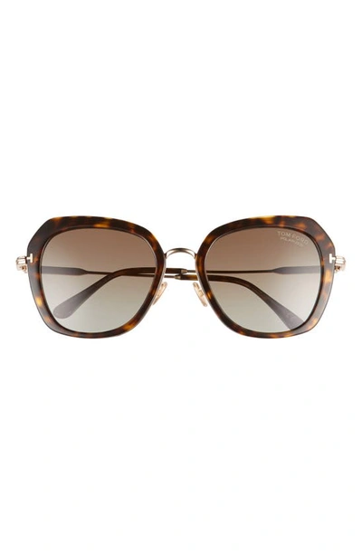 Shop Tom Ford Kenyan 54mm Round Polarized Sunglasses In Havana/ Brown