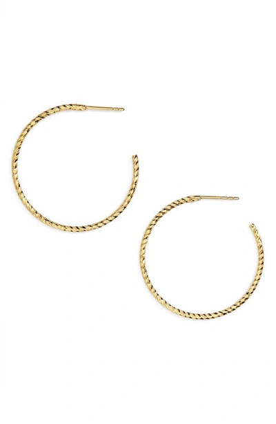 Shop Argento Vivo Sterling Silver Argento Vivo Textured Hoop Earrings In Gold Vermeil
