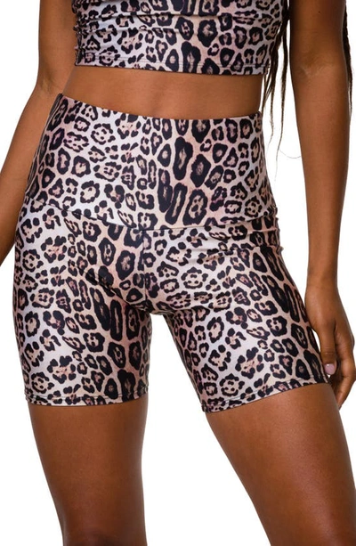 Shop Onzie Mini Bike High Waist Shorts In Leopard