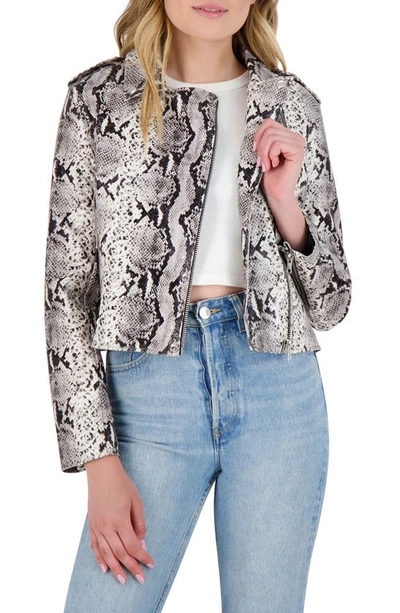 Shop Bb Dakota Watch Out Snakeskin Print Faux Leather Moto Jacket In Taupe