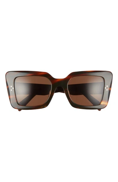 Shop Celine 54mm Cat Eye Sunglasses In Havana/ Brown