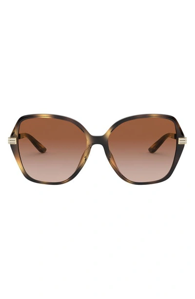 Shop Tory Burch 56mm Gradient Sunglasses In Dark Tort/ Dark Brown Gradient