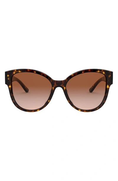 56mm Gradient Cat Eye Sunglasses In Dark Tortoise dark Brown Gradient