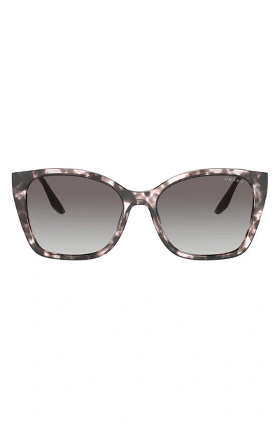 Shop Prada 54mm Gradient Cat Eye Sunglasses In Orchid Tortoise/ Grey Gradient