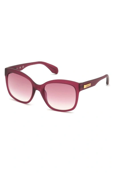 Shop Adidas Originals Originals 54mm Gradient Butterfly Sunglasses In Matte Red/ Bordeaux Mirror