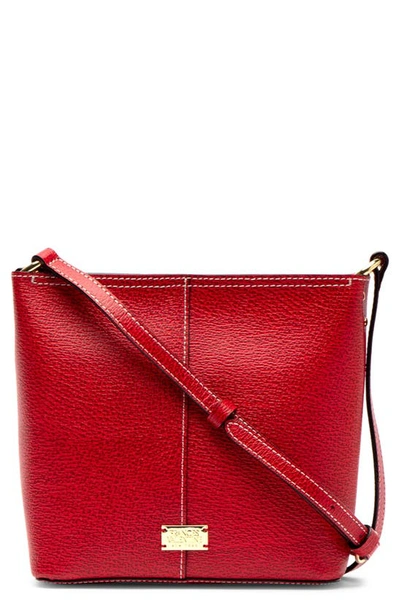 Shop Frances Valentine Small Fin Leather Crossbody Bag In Red