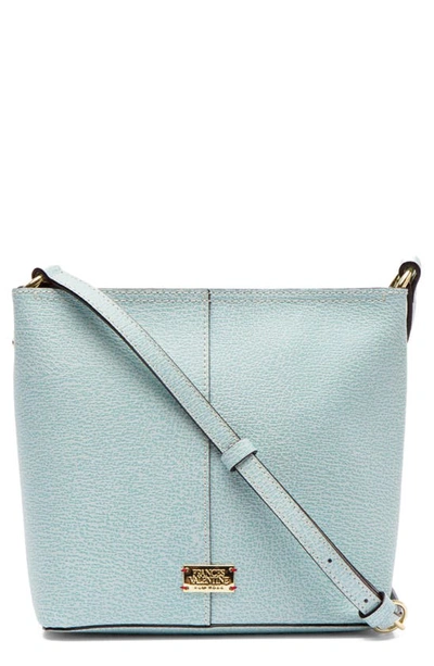 Shop Frances Valentine Small Fin Leather Crossbody Bag In Lg Blue