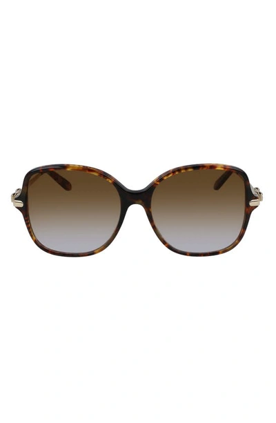 Shop Ferragamo Salvatore  57mm Gradient Rounded Square Sunglasses In Dark Tortoise/ Grey Gradient