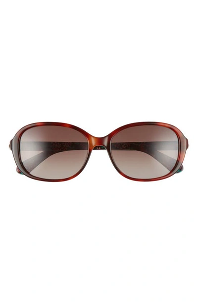 Shop Kate Spade Izabella 55mm Gradient Oval Sunglasses In Dark Havana/ Brown Gradient
