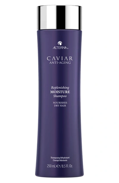 Shop Alternar Caviar Anti-aging Replenishing Moisture Shampoo, 16.5 oz