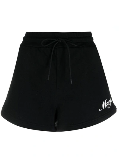 Shop Msgm Shorts Black