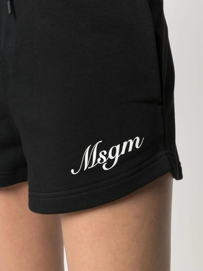 Shop Msgm Shorts Black