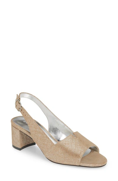 Shop David Tate Rave Sandal In Champagne Suede