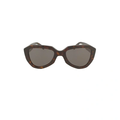Shop Celine Céline Women's Brown Acetate Sunglasses