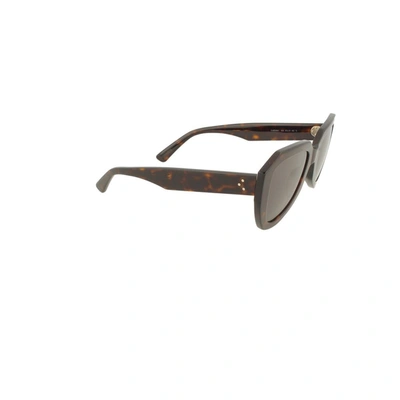 Shop Celine Céline Women's Brown Acetate Sunglasses