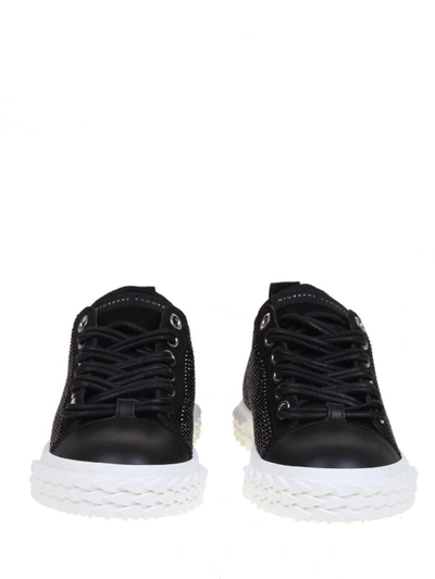 Shop Giuseppe Zanotti Design Black Sneakers