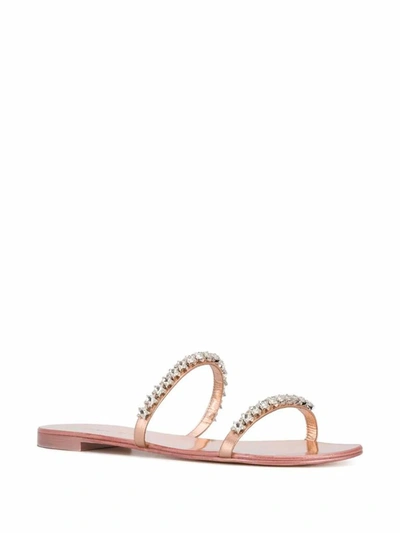 Shop Giuseppe Zanotti Design Women's Pink Leather Sandals