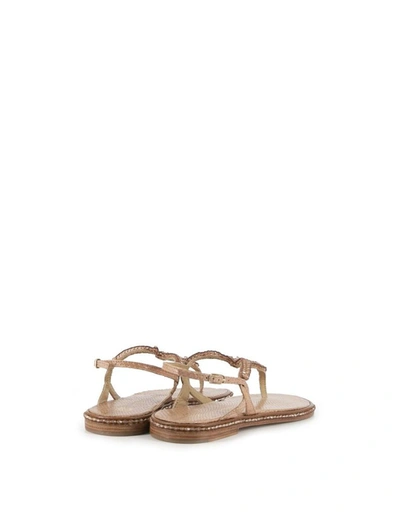 Shop Maliparmi Malìparmi Women's Pink Leather Sandals