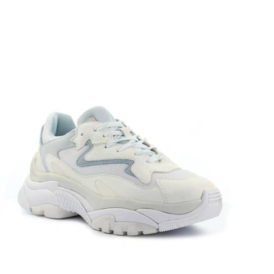 Shop Ash White Sneakers