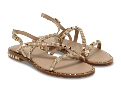 Shop Ash Women's Gold Leather Sandals