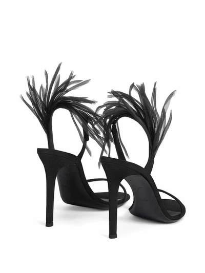 Shop Giuseppe Zanotti Design Women's Black Suede Sandals