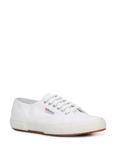 Shop Superga Women's White Cotton Sneakers