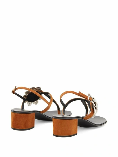 Shop Giuseppe Zanotti Design Women's Brown Leather Sandals