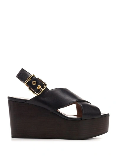 Shop Marni Women's Black Leather Sandals