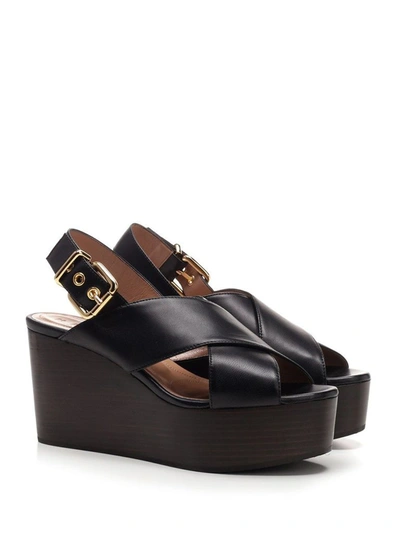 Shop Marni Women's Black Leather Sandals