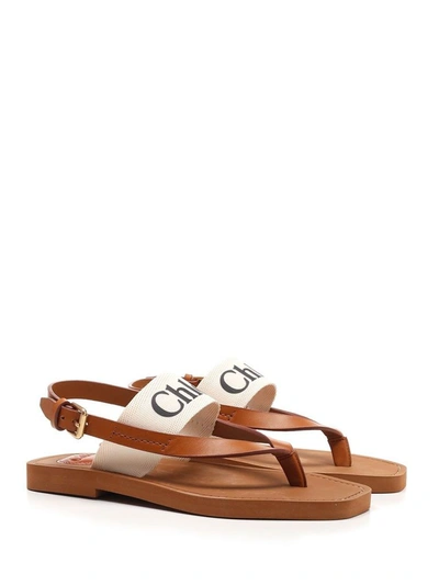 Shop Chloé Women's White Leather Sandals