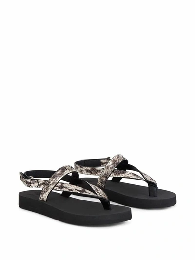 Shop Giuseppe Zanotti Design Women's Grey Leather Sandals
